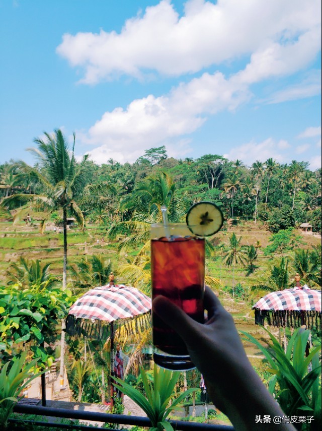 巴厘岛游记400字,巴厘岛游记作文