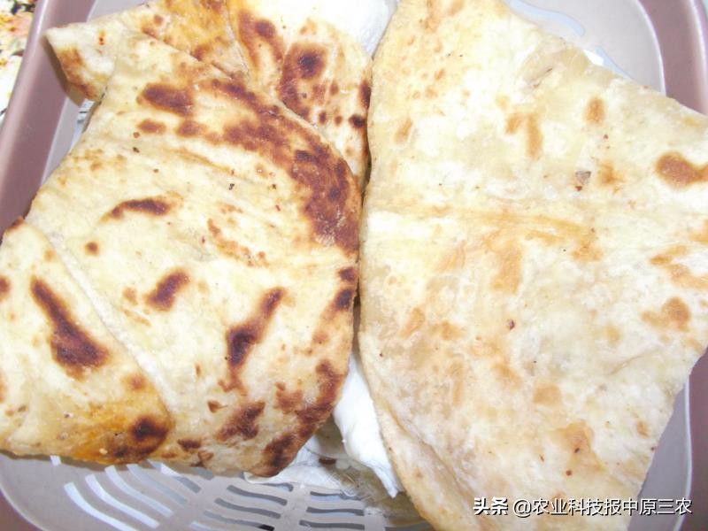 槐花飘香散文集,又是槐花飘香时