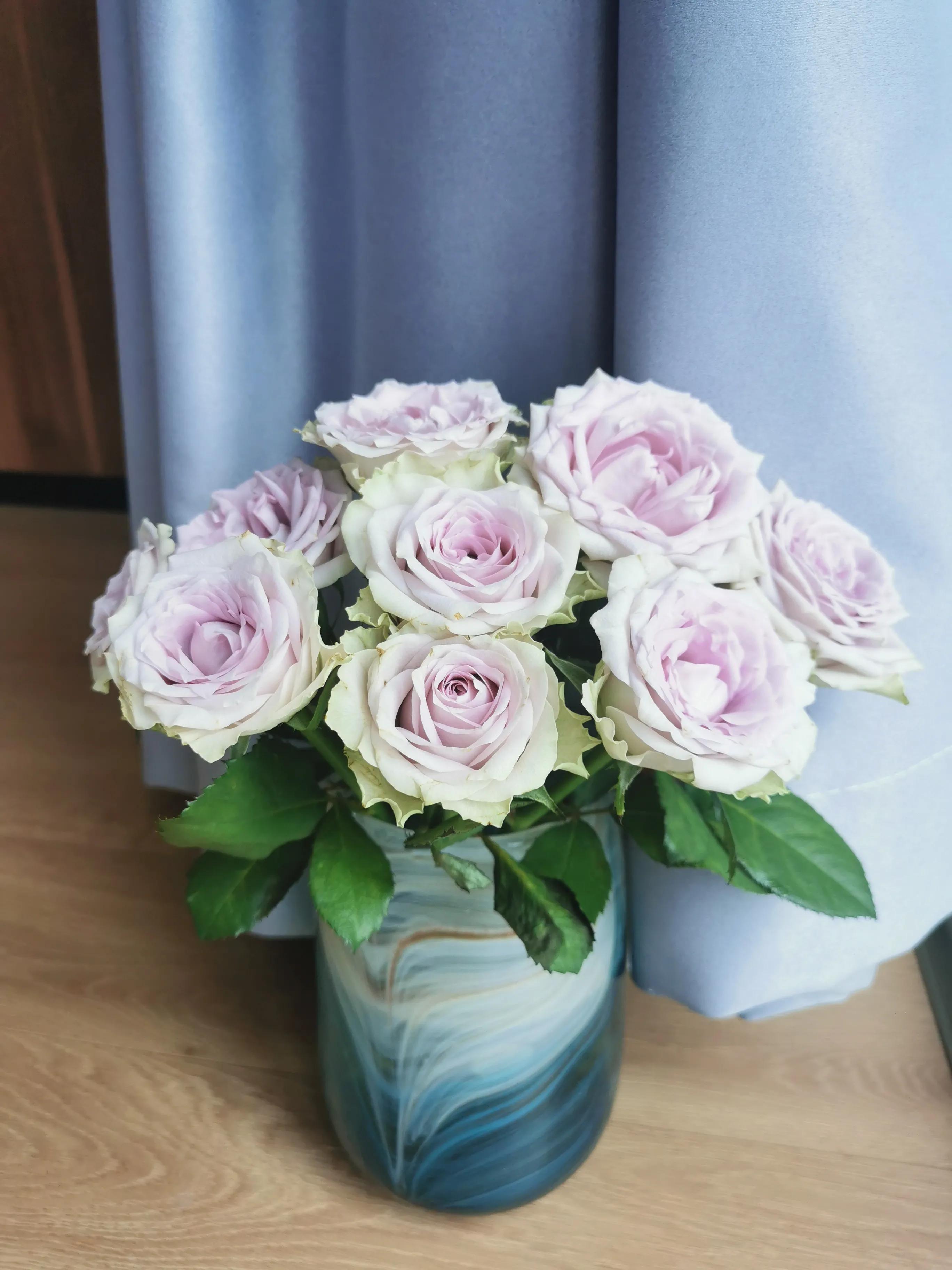 介绍一下海蓝之谜玫瑰花,海蓝之谜玫瑰推荐