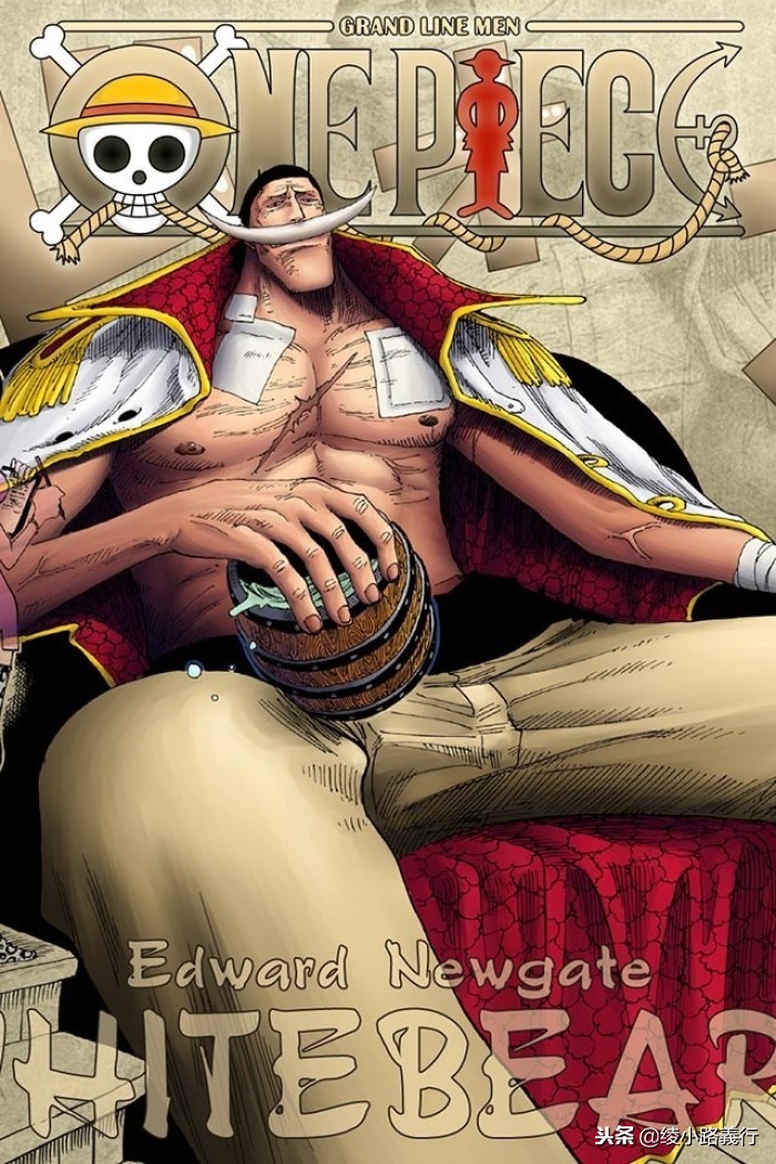 海贼王漫画人物叫什么名,海贼王的漫画有哪些