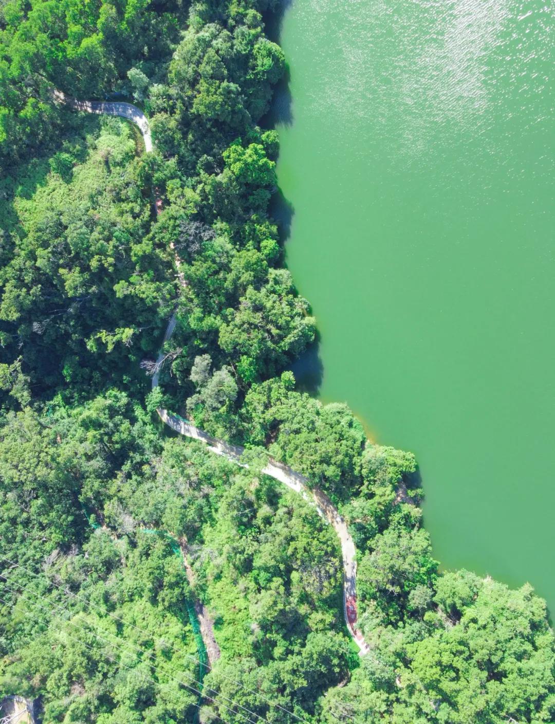 深圳这10条绿道你去过没,深圳十大绿道排行榜