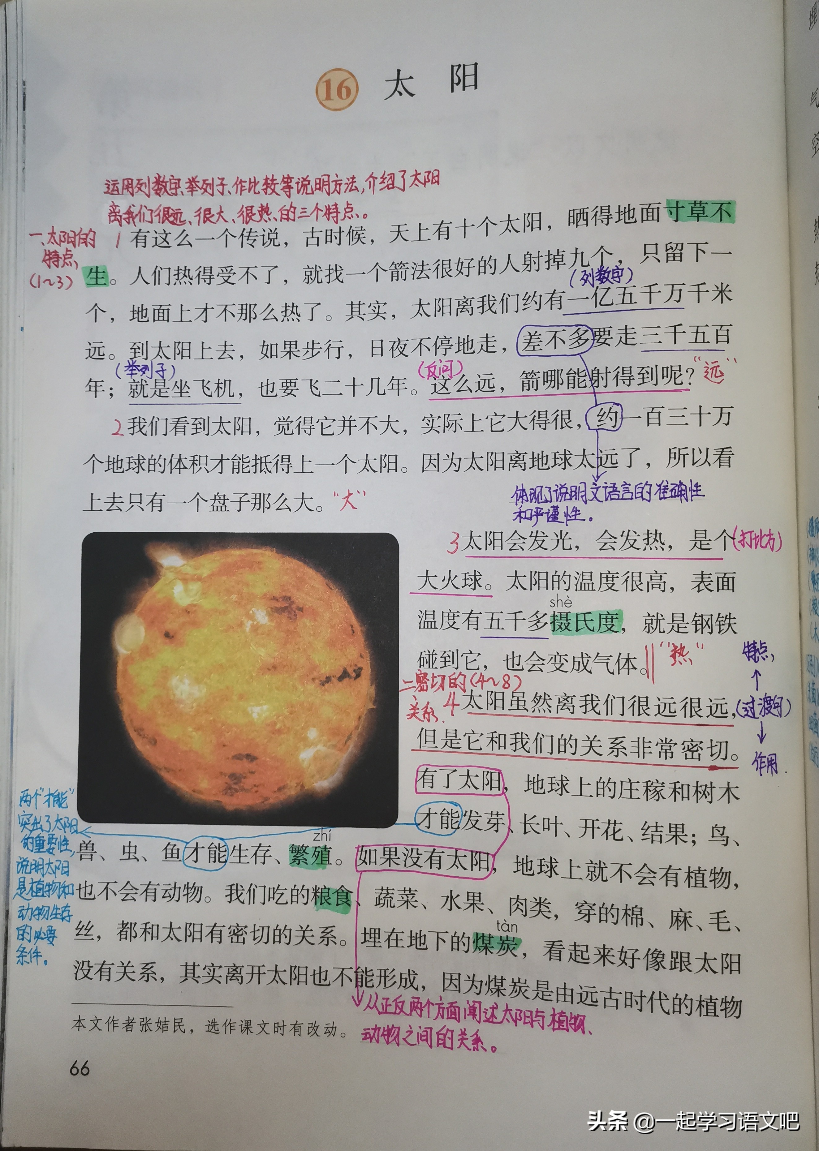 松鼠统编版五年级上册第五单元,五年级课文太阳松鼠阅读练习