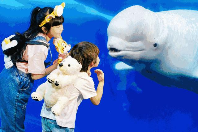 珠海长隆套票500多元，这样买只要380，已有人成功！还成功惊动了警察