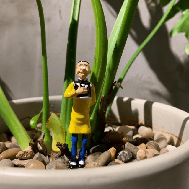 520情人节遇见你真好,520情人节与你相见