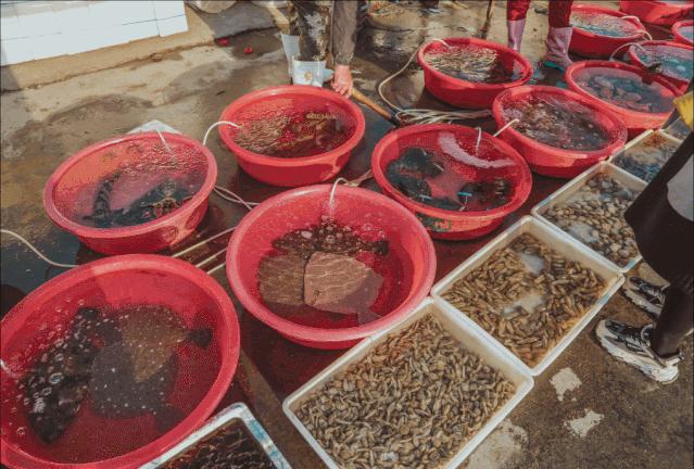 生活在海边的人皮肤特点,日照海边的魅力