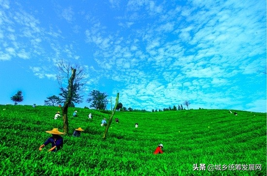 鐧句簨鍙箰璺ㄧ晫鍚堜綔,鐧句簨鍙箰甯傚満鎬荤洃