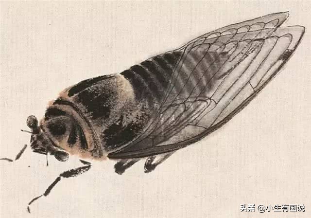 齐白石画的老虎放大10倍什么样子,齐白石为什么把老虎画成病猫