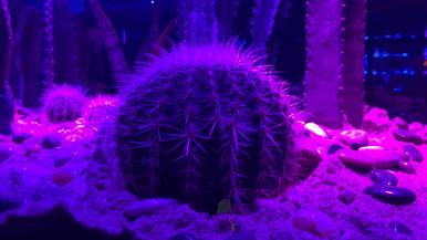 喝的是滋味,斗的是豪气!520优惠活动来啦!!!