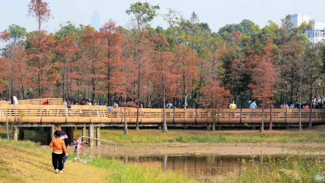 莲花山绿了没,莲花山红色景点有哪些