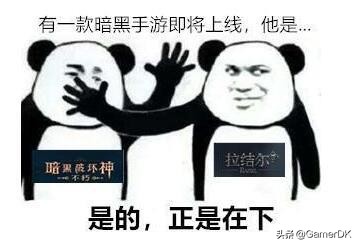 鍥藉垱鏆楅粦鎵嬫父,鍥藉垱鍏蜂綋鍐呭