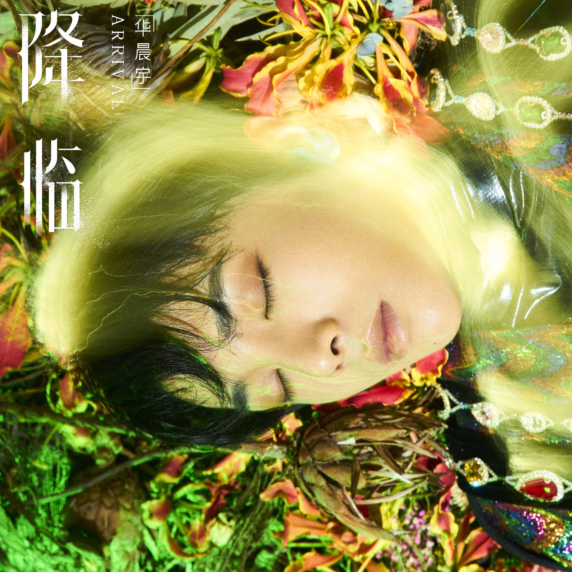 从一首歌看出华晨宇格局,华晨宇的第四张专辑