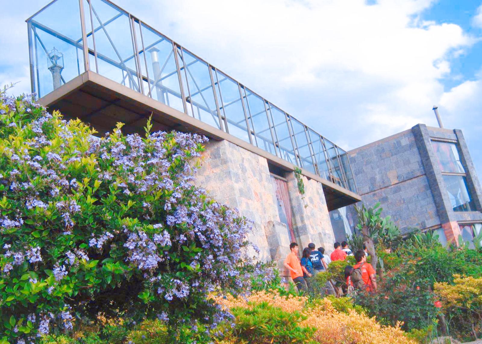 杨丽萍投资多少钱,杨丽萍有多少钱