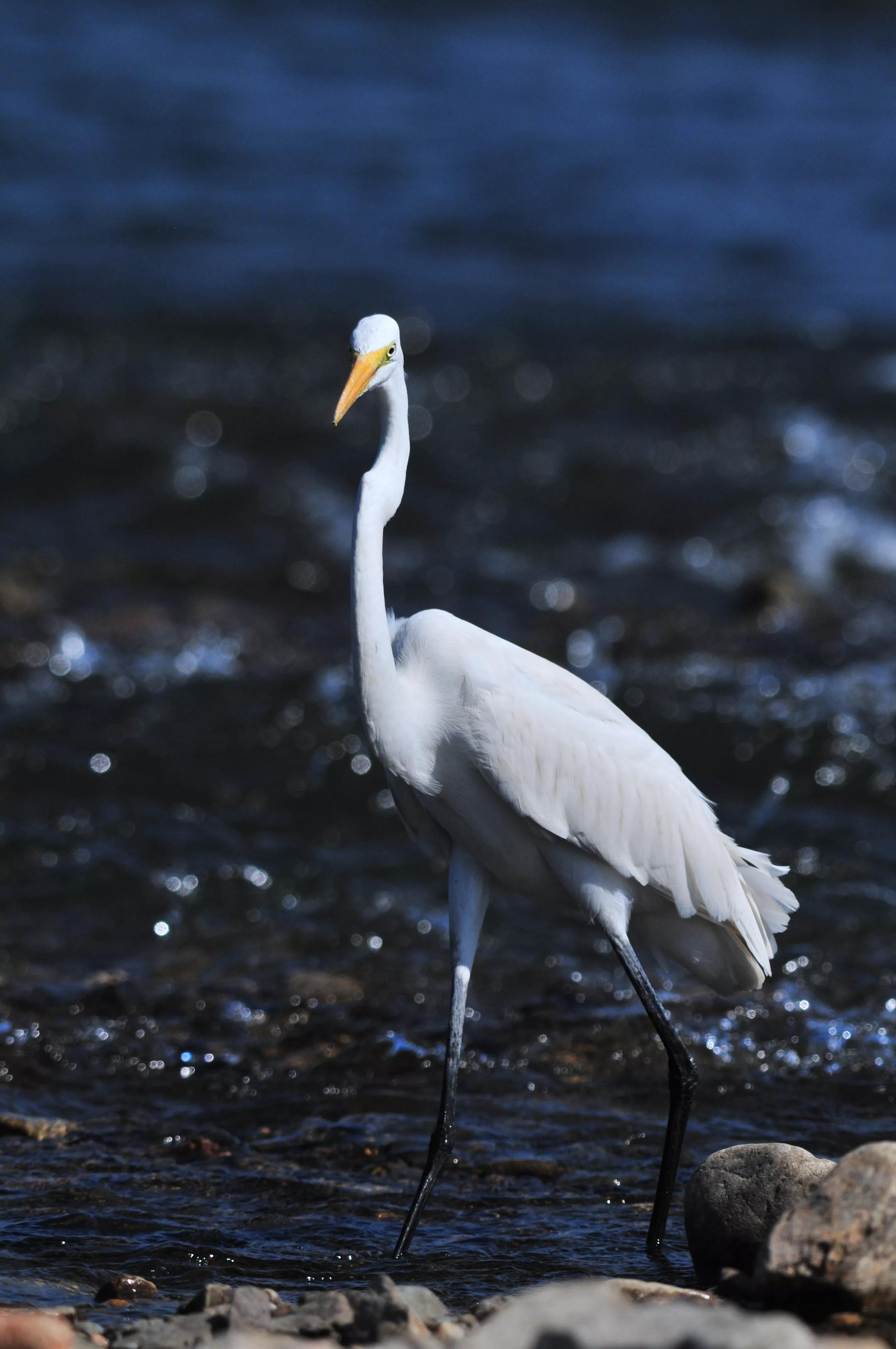 镜头装增距镜光圈会变化吗,镜头加增距镜后虚化效果会变好吗
