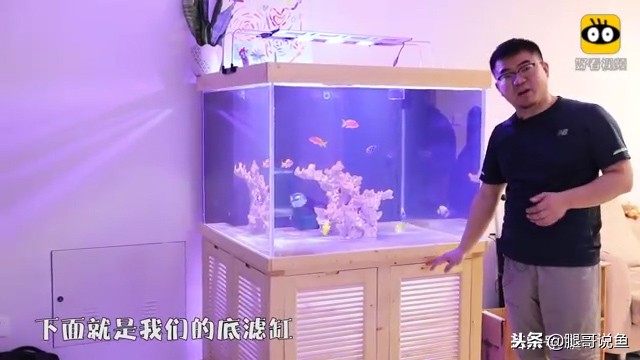 大缸什么过滤效果最好,什么过滤方式小缸效果最佳