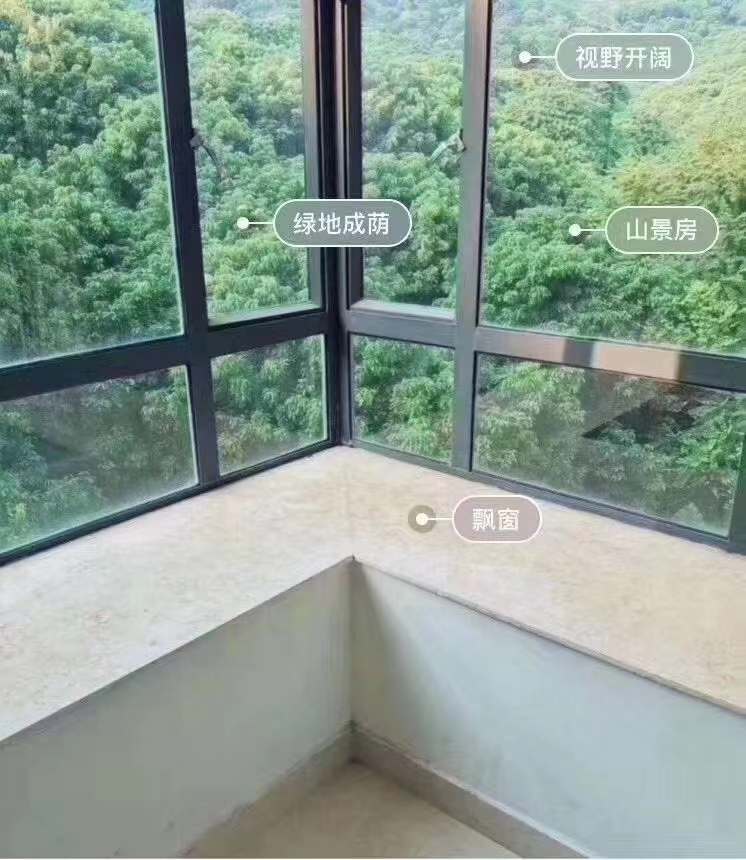 预言2025深圳南山西丽房价,南山西丽目前房价