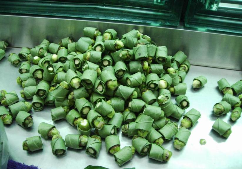 全世界公认的毒槟榔,槟榔有多可怕