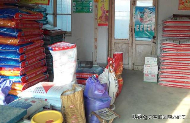 种100亩玉米利润多大,在农村种100多亩玉米能卖多少钱