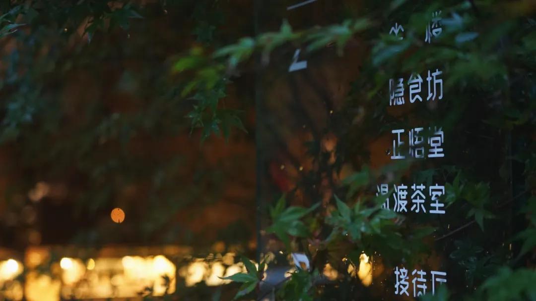 森林秘境的温泉,森林里野奢温泉度假酒店下午茶