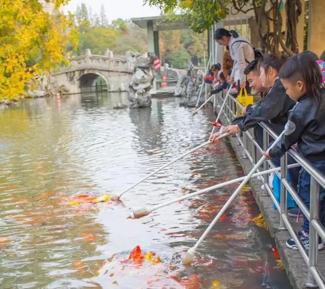 合肥逍遥津最新消息,合肥逍遥津现状