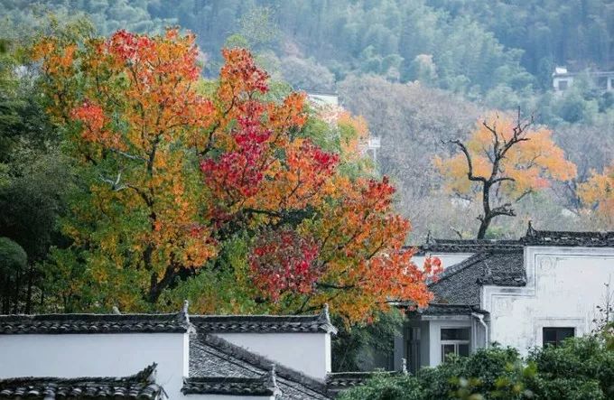 安徽值得去的四大古村,安徽春天最美十大村落