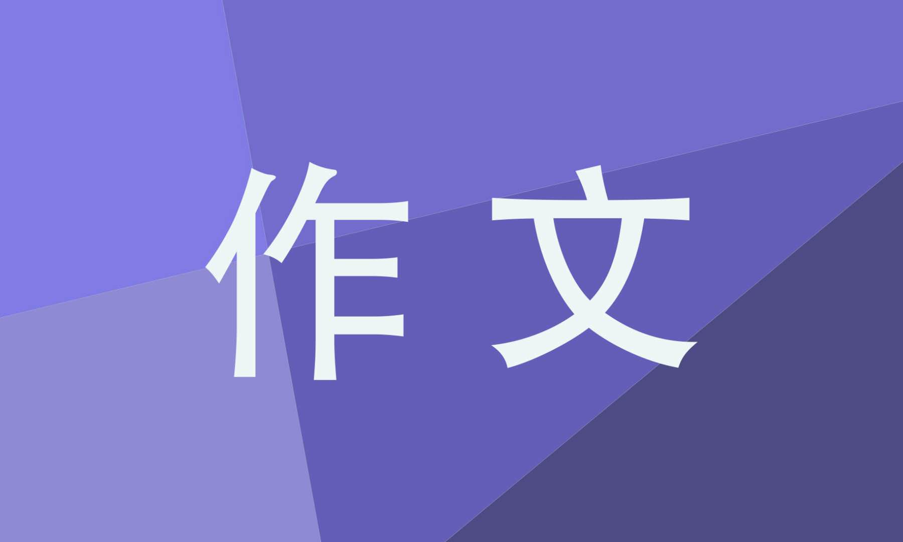 什么的启示600字作文优秀,练字的启示600字作文
