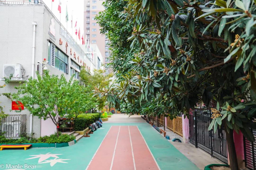 二七区遴选,二七区甄选