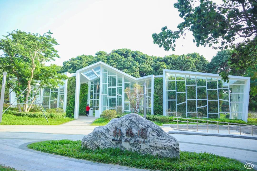 深圳免费景点好玩排名,深圳这些新公园免费玩