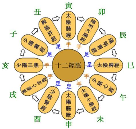 中医所讲的经络真的存在吗,中医经络与经筋循行路线不一样