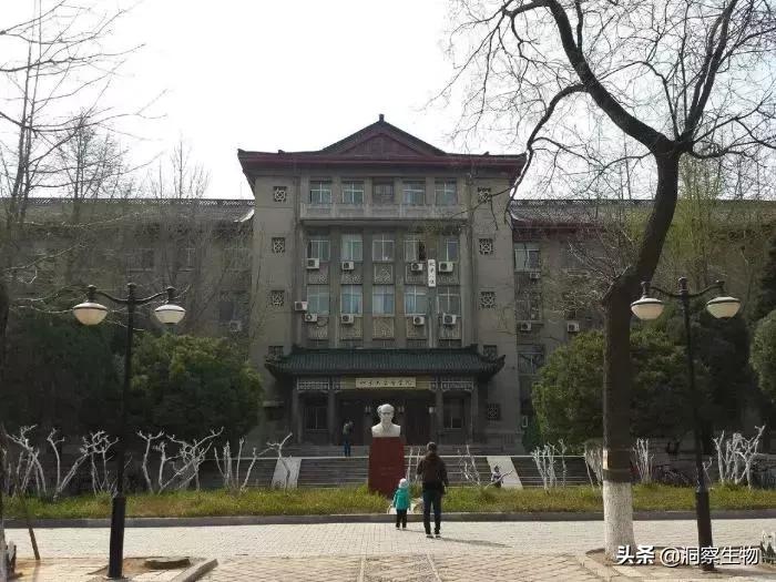 并入山东大学后实力下滑严重，“东齐鲁”已不负盛名