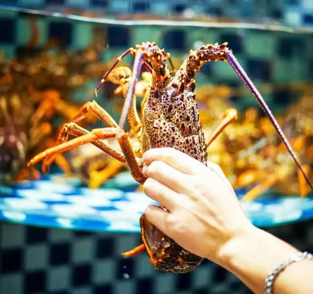 她17岁逃婚出深山，如今在无锡，开了南长街上最大的酒楼