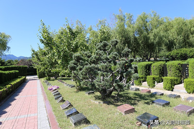 现在买个墓地需要多少钱？墓地价格会一直上涨吗？