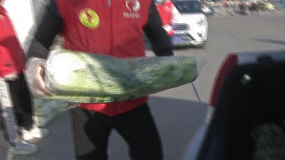 土豆白菜大萝卜,“蔚小代”让它们又抢手了