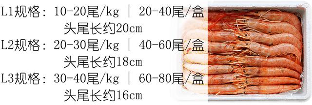 罗氏虾怎么辨别有没有膏,罗氏虾虾苗怎么分辨真假