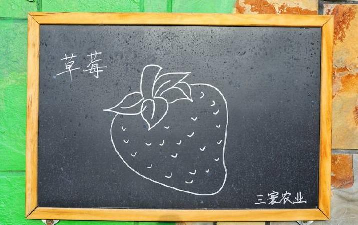 避暑亲子旅游推荐5天游,暑期草原亲子游攻略