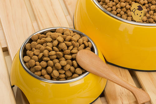 泰迪犬为什么不怕狗粮,泰迪犬吃什么狗粮最好呢