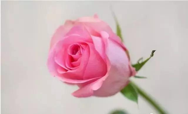 每天学习一点点女性小常识,每天学习一点点科普一下