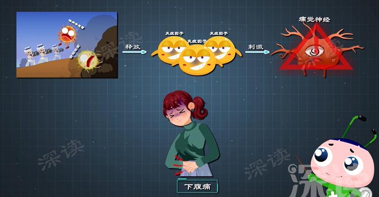 月经不调？怀孕困难？会搞出宫外孕？盆腔炎危害有多大？硬核科普