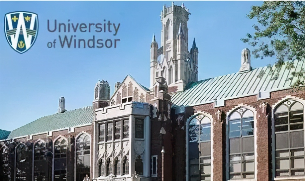 加拿大本科留学项目，雅思6.5，会考均分75以上