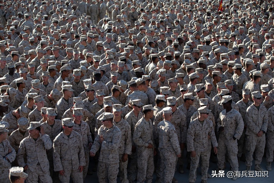 美国海军陆战队冬季服装,美国海军陆战队有几种迷彩服