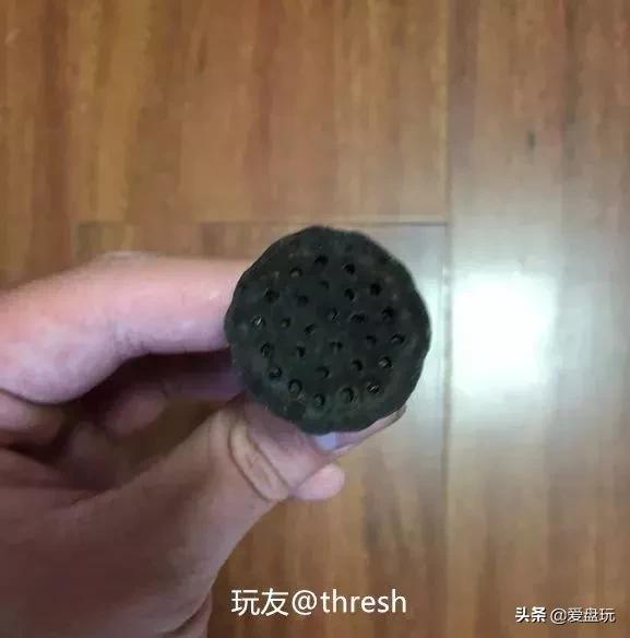 栗子，也能玩？这算啥，看看我玩的