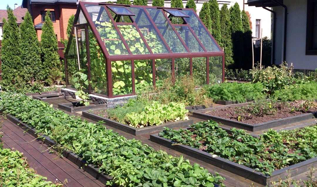 科普在太空种菜的诸多学问,太空上为什么能种菜呢