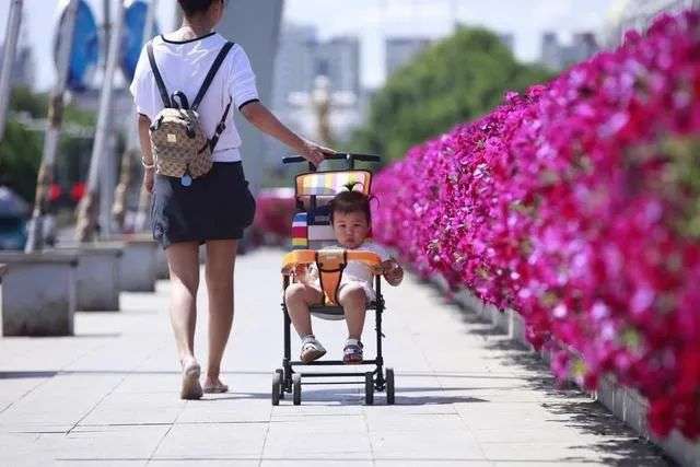 逸乐途最新款推车,逸乐途3轮推车