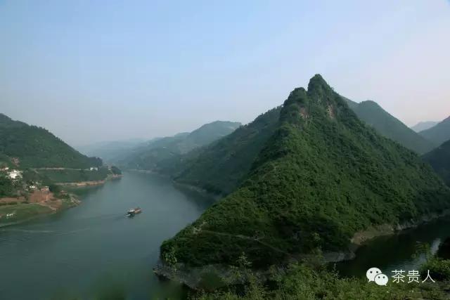 茶眼看陕西,茶眼看中国茶