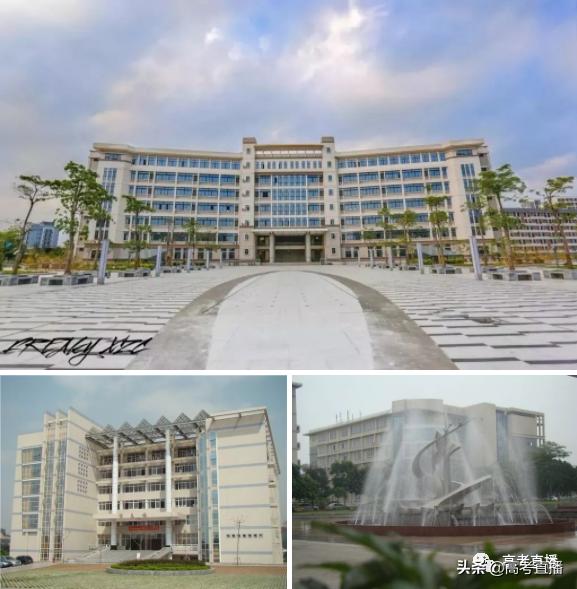 2019年有哪些学院升大学,今年有哪些学校升为本科院校