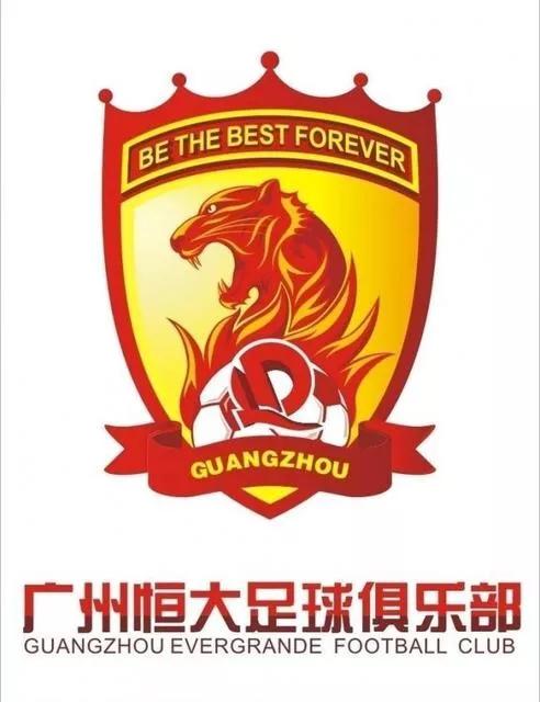 中国足球职业化排名,深度分析中国足球发展之路