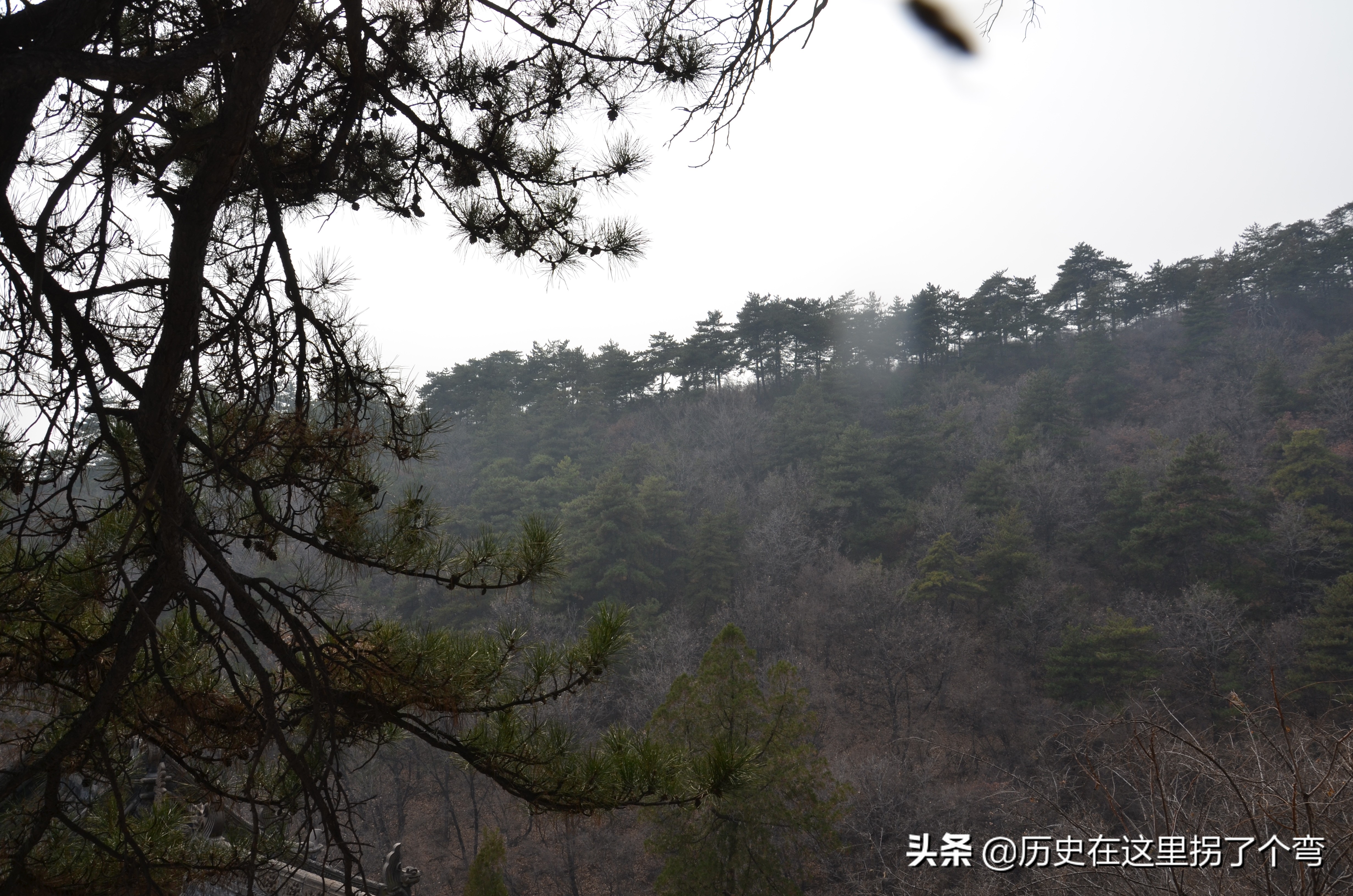 农耕文明看源头之十五：怪事年年有，晋穆侯一战打出个仇人和仇国