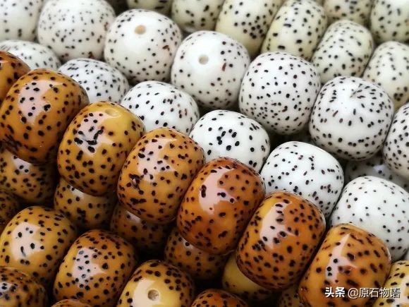 星月菩提一般几个籽,星月菩提只要是真的就可以玩