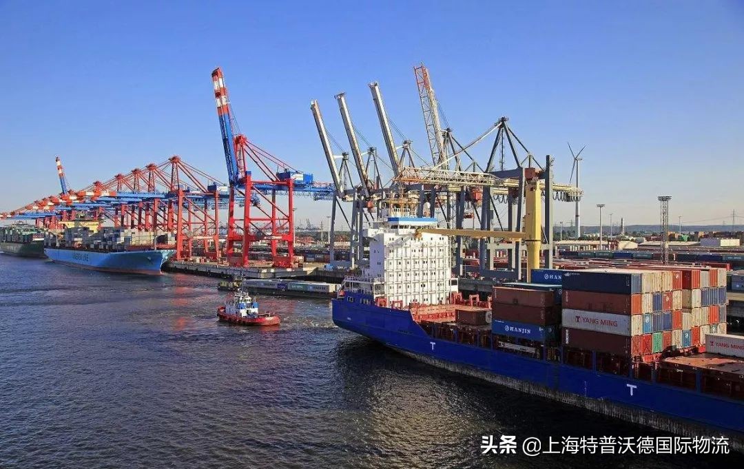 货物到港不清关怎么办,货物到港客户不提货要退单