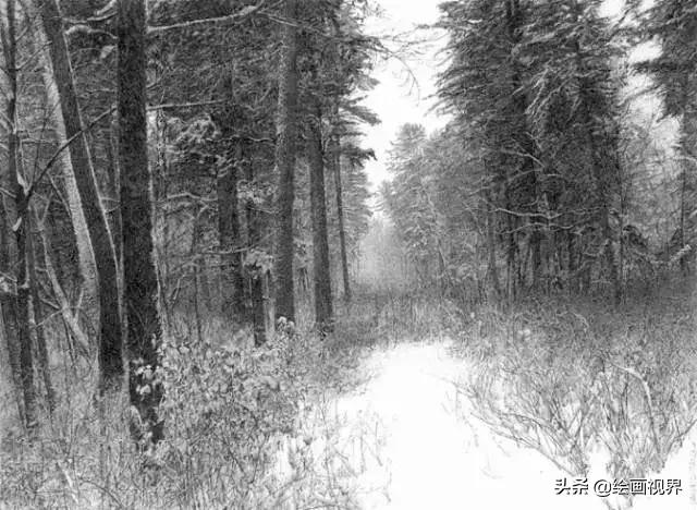 不会画就别学,不会画素描写生