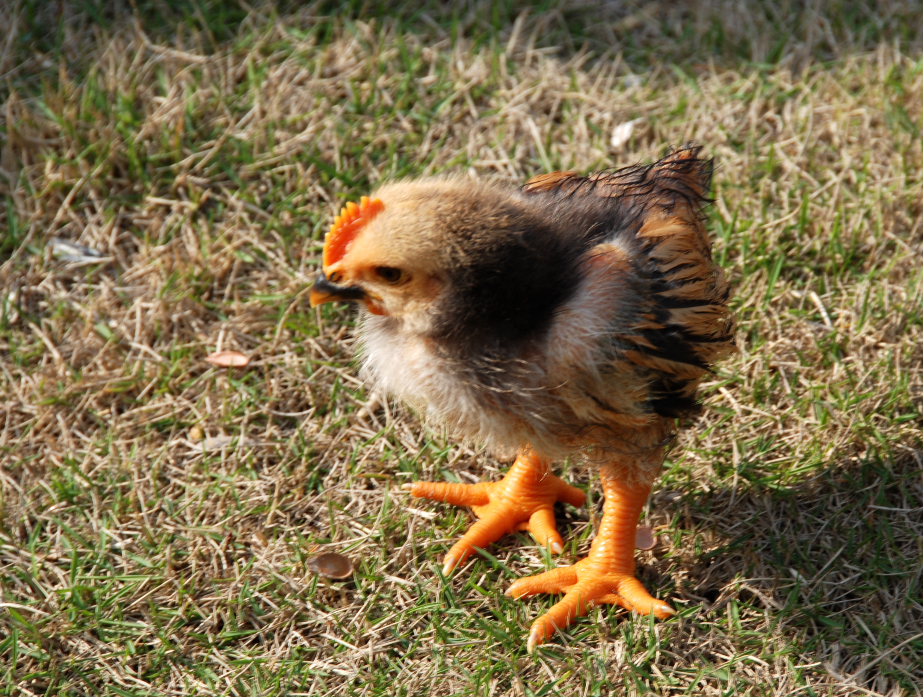 瑶寨必背100个寨子,必背瑶寨景点